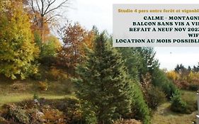 Studio Entre Foret Et Vignoble !